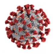 photo of Corona virus